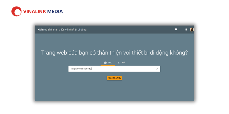 Bước 2: Dán liên kết tên miền trang web của bạn vào